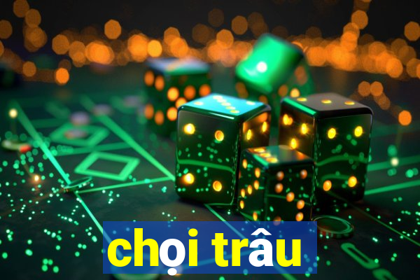 chọi trâu