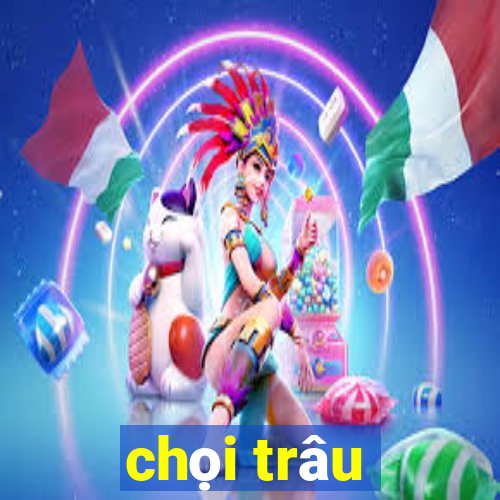 chọi trâu