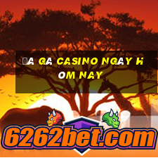 đá gà casino ngày hôm nay