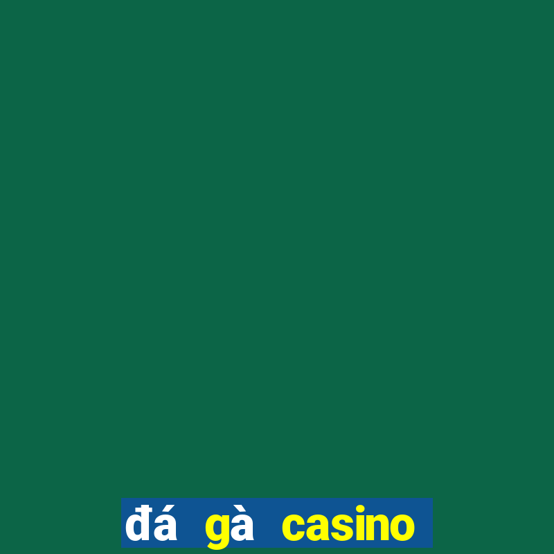 đá gà casino ngày hôm nay