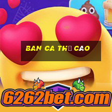 ban ca thẻ cào