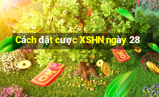 Cách đặt cược XSHN ngày 28