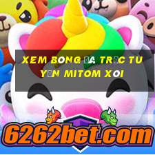 xem bóng đá trực tuyến mitom xôi