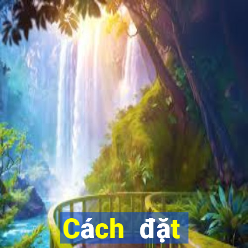 Cách đặt cược XSDNA ngày 31