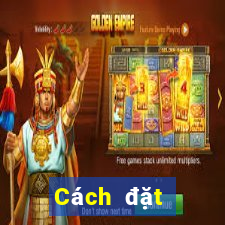 Cách đặt cược XSDNA ngày 31