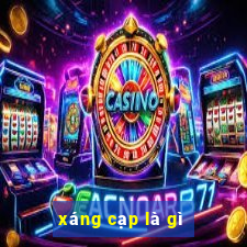 xáng cạp là gì