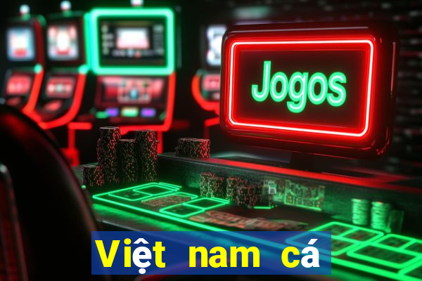 Việt nam cá bóng trò chơi 2017