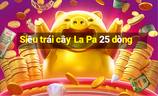 Siêu trái cây La Pa 25 dòng