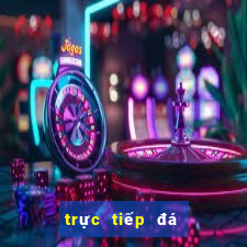 trực tiếp đá gà trên casino