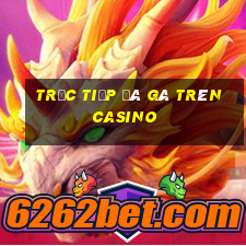 trực tiếp đá gà trên casino