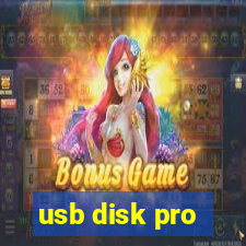 usb disk pro