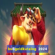 bußgeldkatalog 2024 80 euro