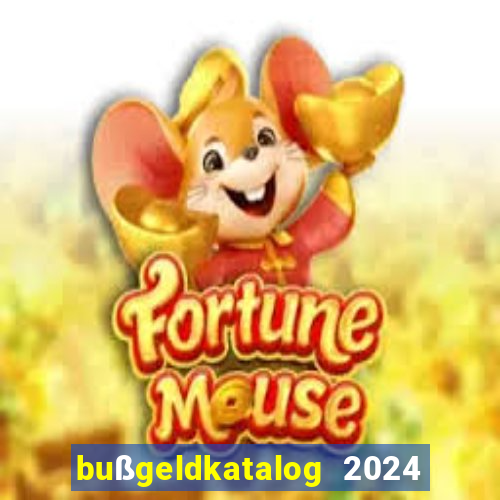 bußgeldkatalog 2024 80 euro