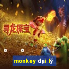 monkey đại lý