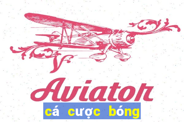 cá cược bóng đá club