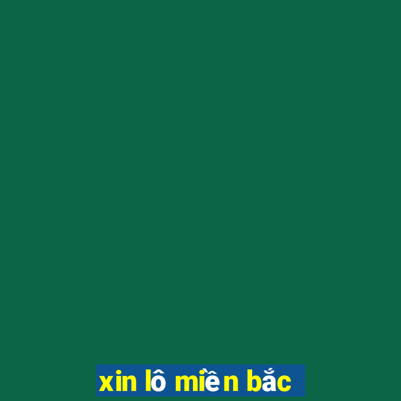 xin lô miền bắc