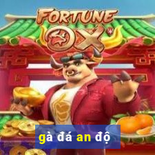 gà đá an độ