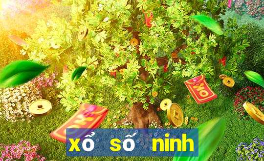 xổ số ninh thuận ngày 25 tháng 11