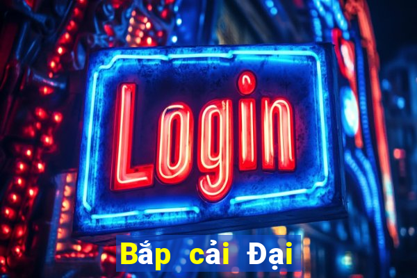 Bắp cải Đại Quan Diễn đàn 99