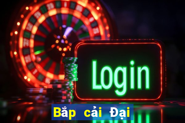 Bắp cải Đại Quan Diễn đàn 99