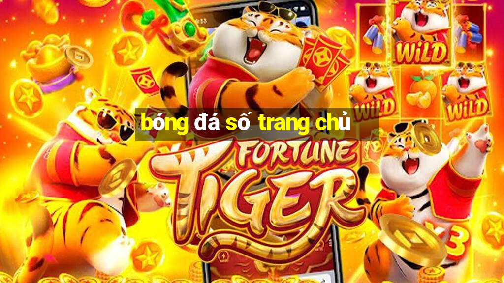 bóng đá số trang chủ