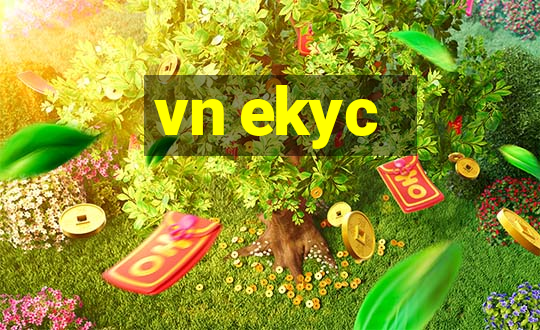 vn ekyc