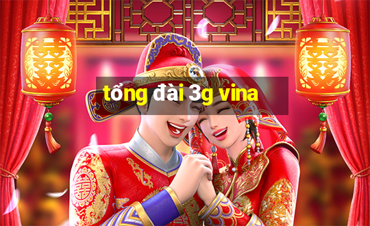 tổng đài 3g vina