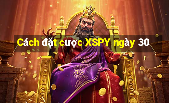 Cách đặt cược XSPY ngày 30