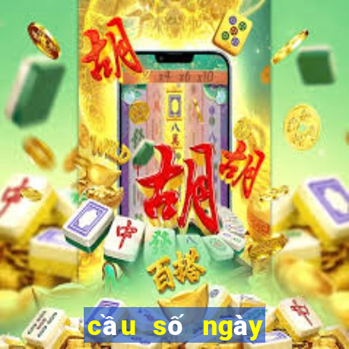 cầu số ngày hôm nay