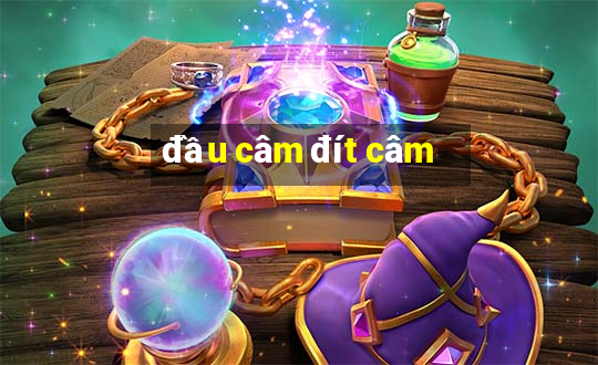 đầu câm đít câm