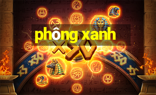 phông xanh