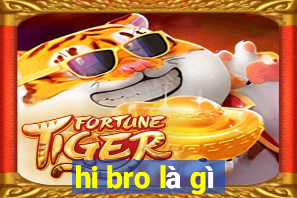 hi bro là gì