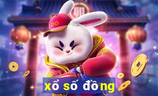 xo so dong