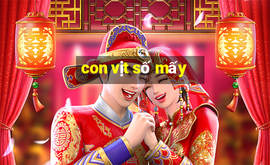 con vịt số mấy