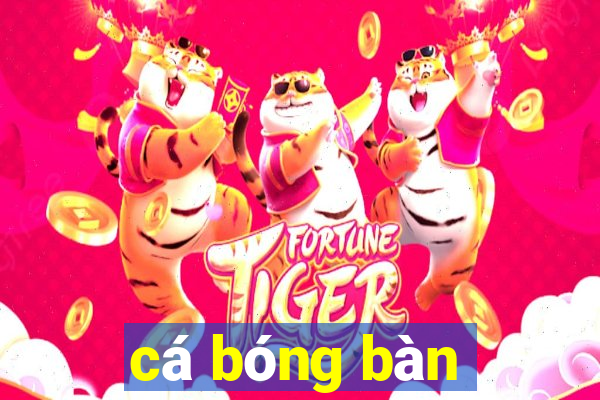 cá bóng bàn