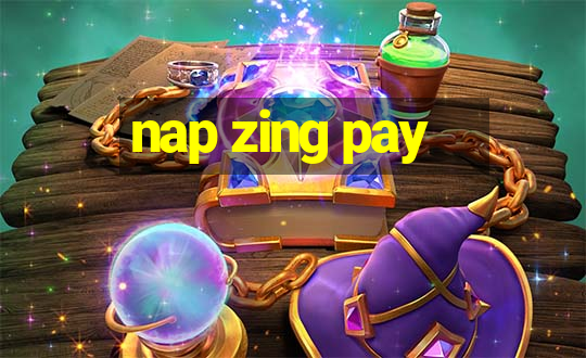 nap zing pay