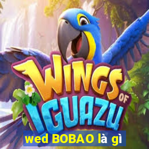 wed BOBAO là gì