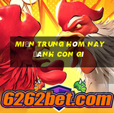 miền trung hôm nay đánh con gì