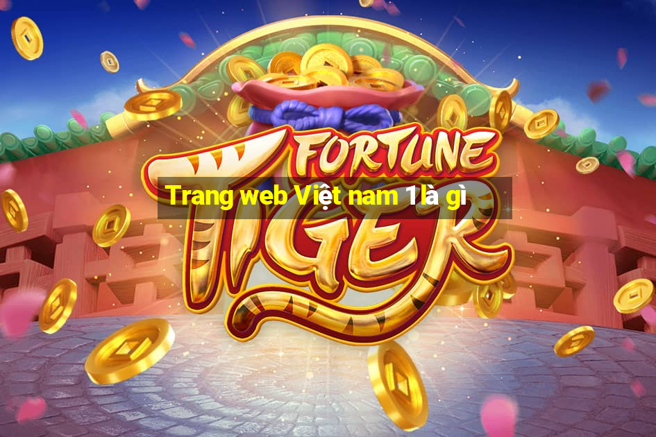 Trang web Việt nam 1 là gì