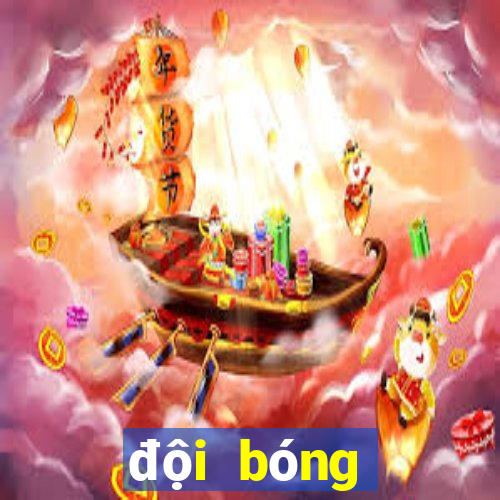 đội bóng ngoại hạng anh