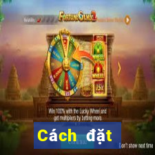 Cách đặt cược XSND ngày 11