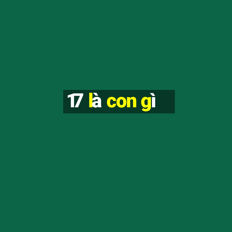 17 là con gì