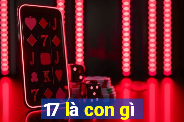 17 là con gì