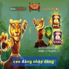 ceo đăng nhập dòng