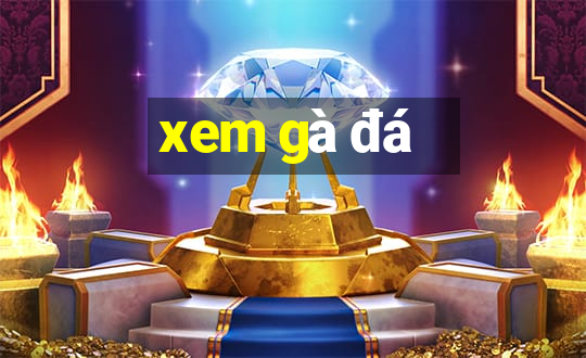 xem gà đá