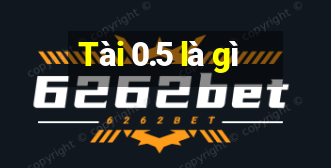 Tài 0.5 là gì