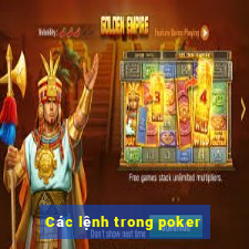 Các lệnh trong poker