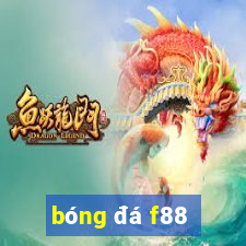 bóng đá f88