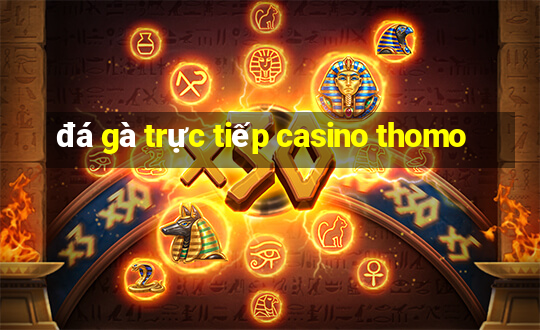 đá gà trực tiếp casino thomo