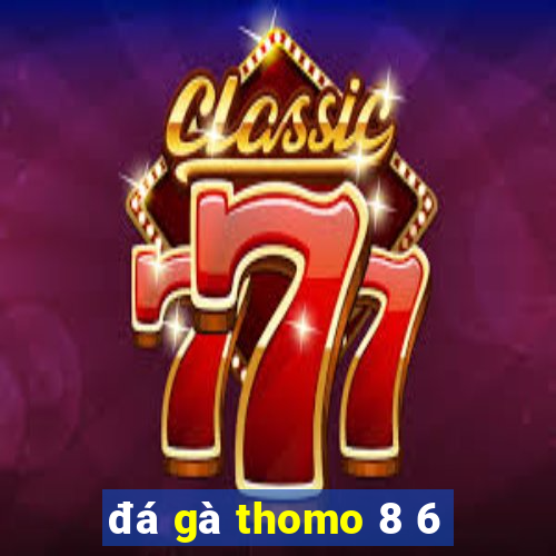 đá gà thomo 8 6